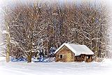 Snow-Covered Shed_32603